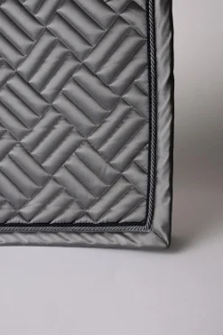 Aachen Dressurschabrake