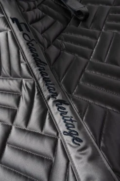 Aachen Dressurschabrake