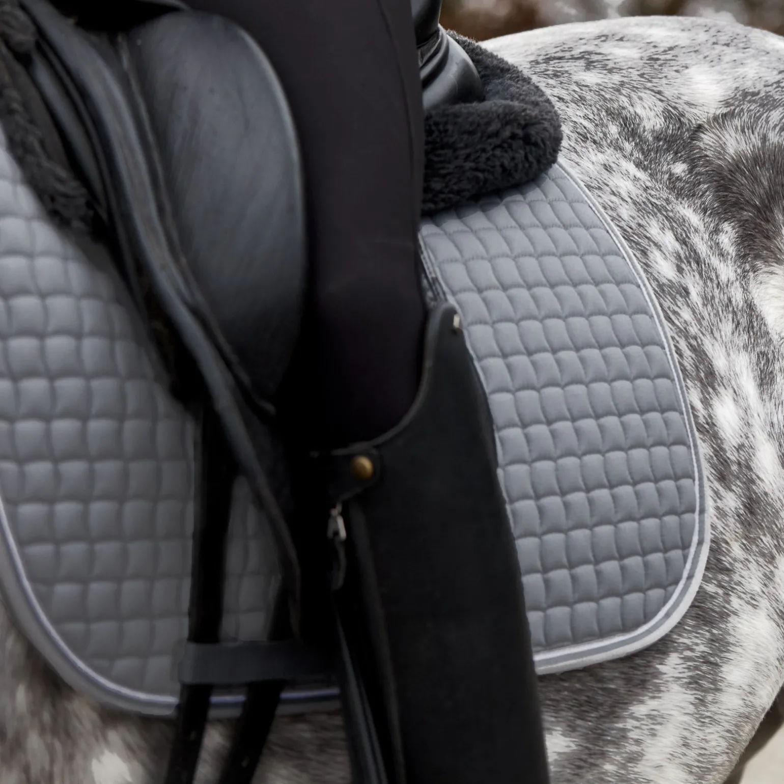 Adepto Dressurschabracke