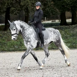 Adepto Dressurschabracke