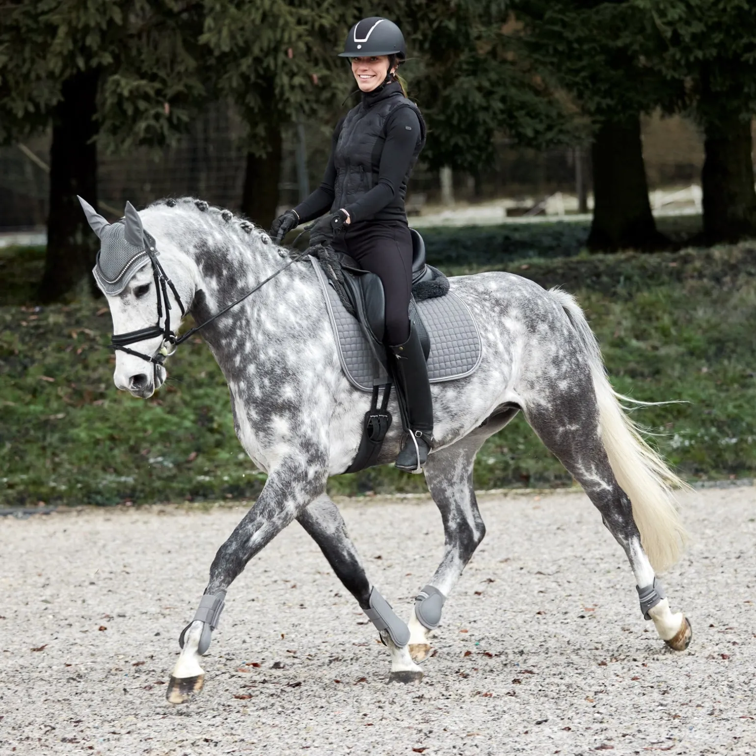 Adepto Dressurschabracke