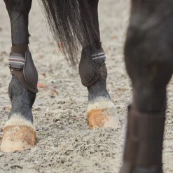 Adepto Streichkappen