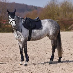 Adepto Vielseitigkeitsschabracke