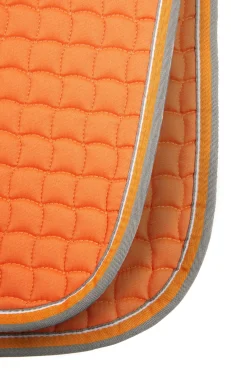 Adepto Vielseitigkeitsschabracke