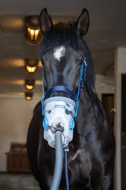 AirOne Ultraschall-Inhalator für Pferde mit Maske, Warmblut