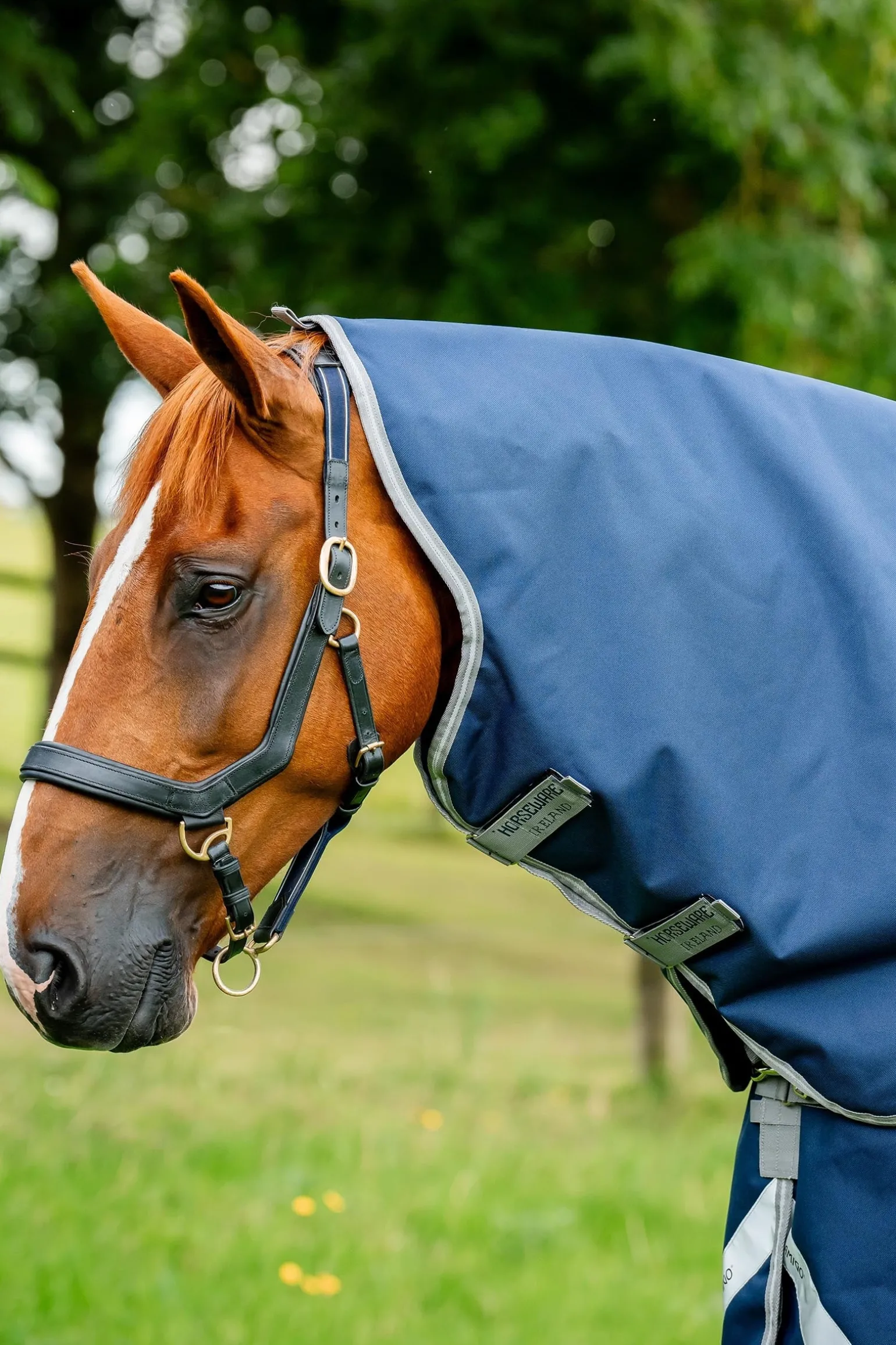 Amigo Bravo 12 Halsteil 0g