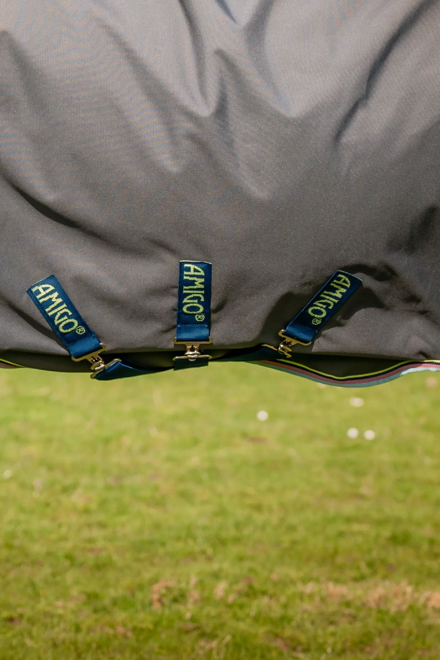 Amigo Bravo 12 Plus Weidedecke, 250 g