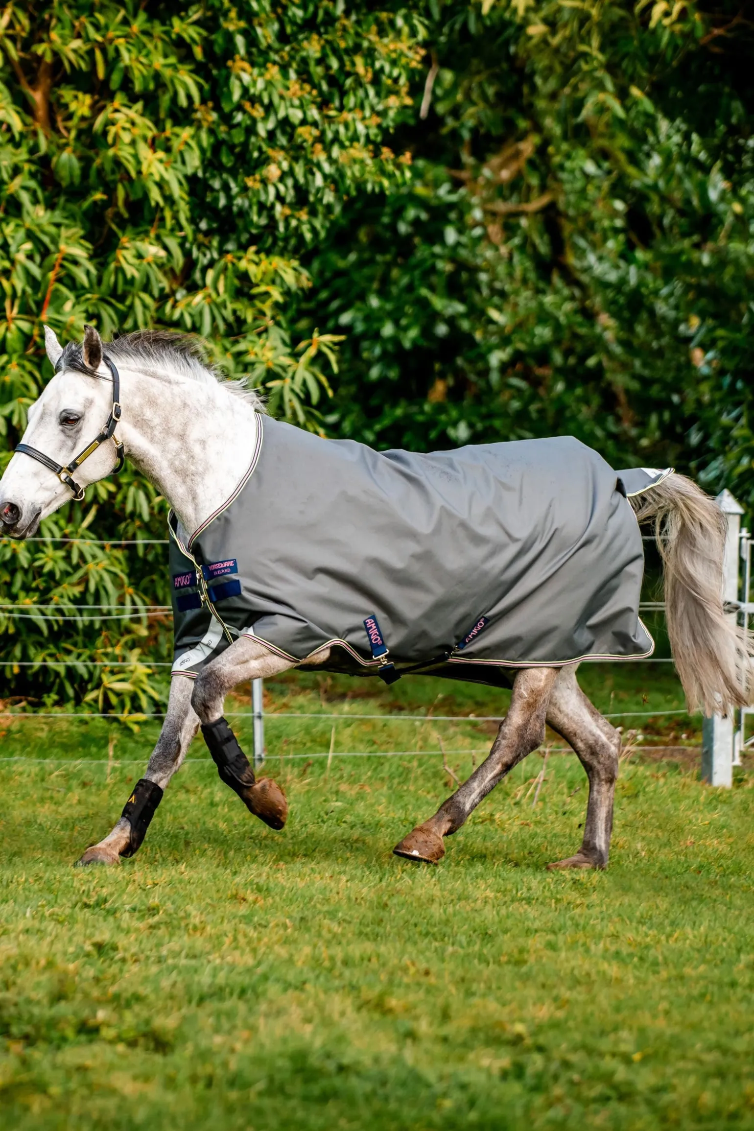 Amigo Bravo 12 Weidedecke, 0 g