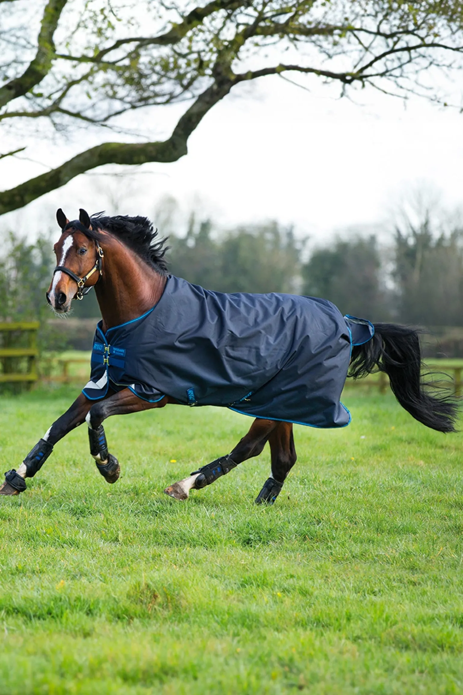 Amigo Bravo 12 Weidedecke, 100g