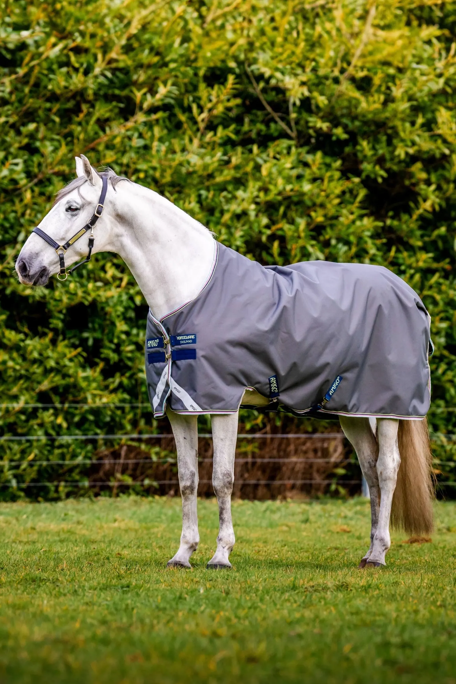 Amigo Bravo 12 Weidedecke, 100g