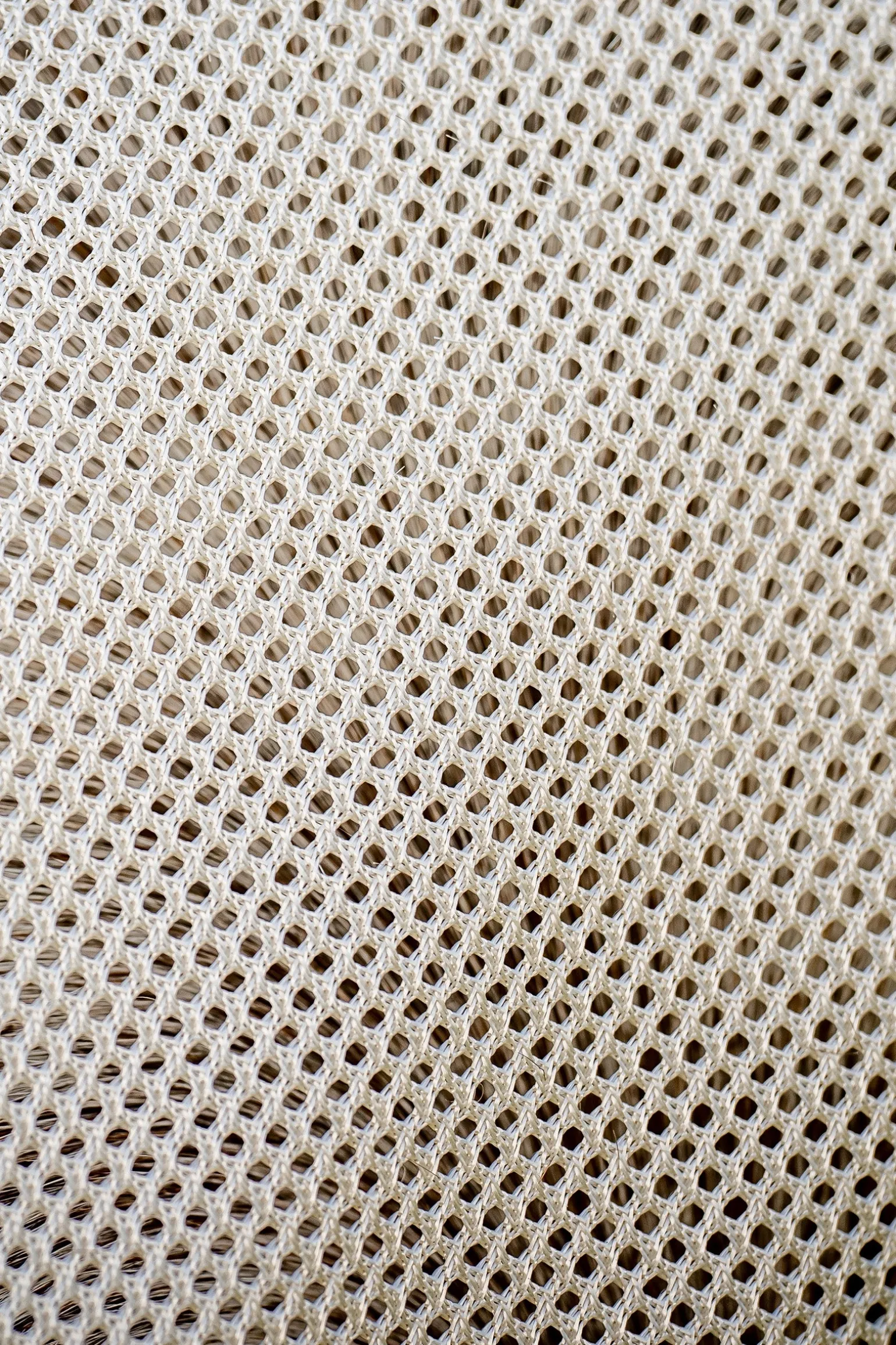 Amigo Bug Buster Fliegendecke mit abnehmbarem Halsteil