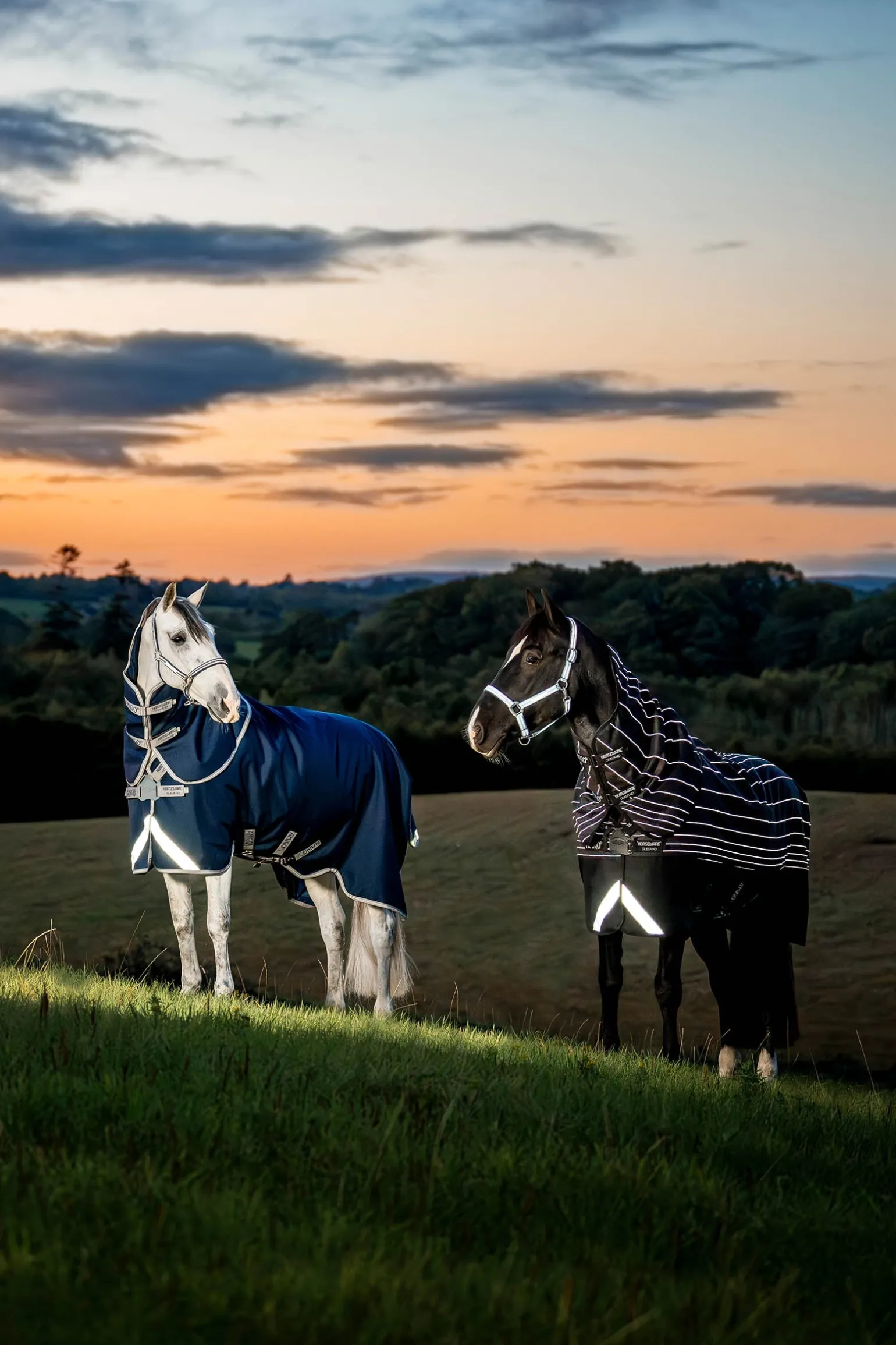 Amigo 1200D FieldSafe Plus Turnout Rug, 250 g