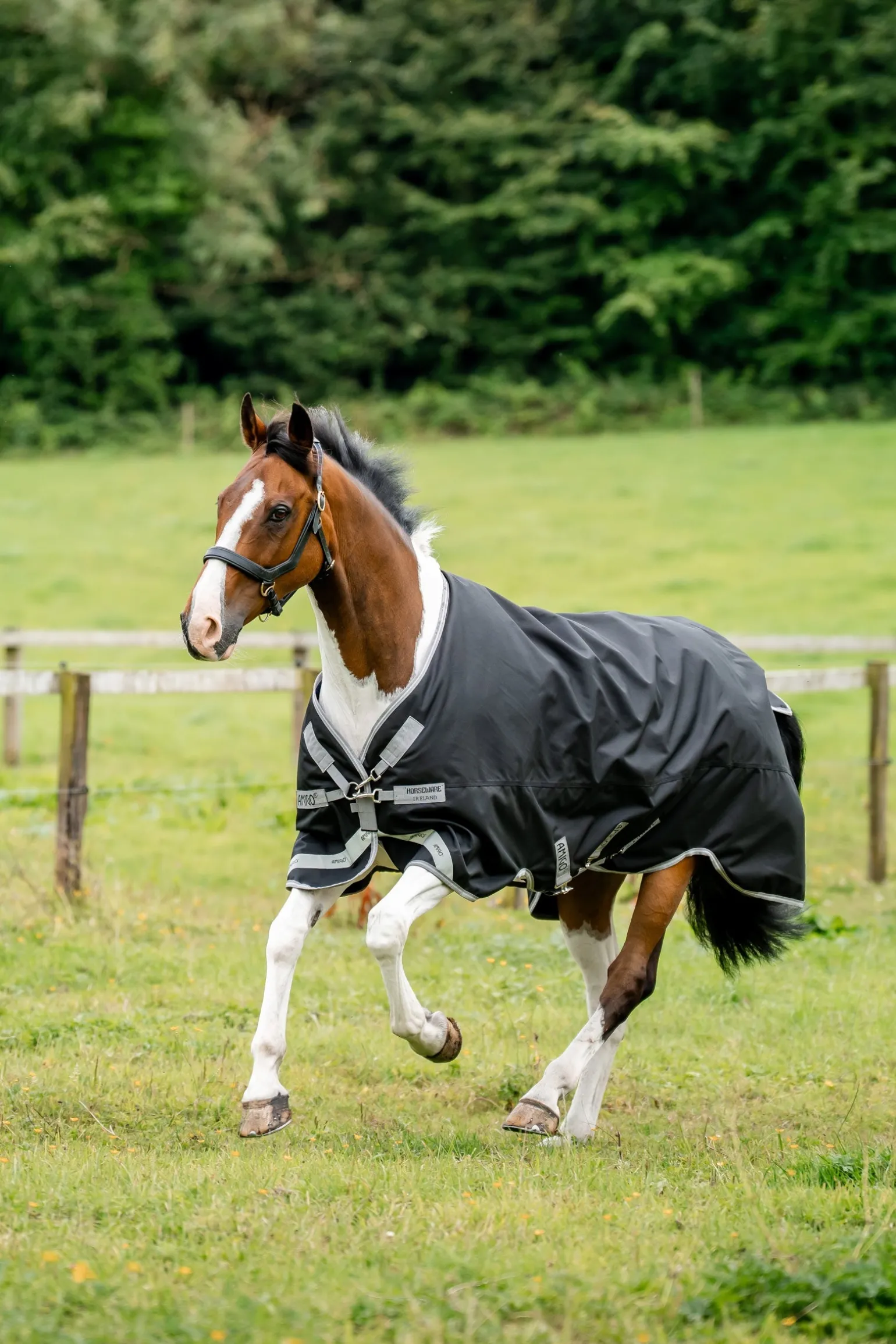 Amigo 1200D Outdoordecke, 50 g