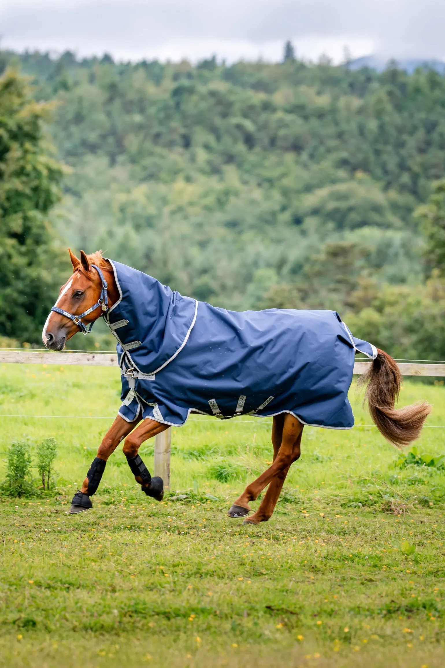 Amigo 1200D Plus Outdoordecke, 50 g