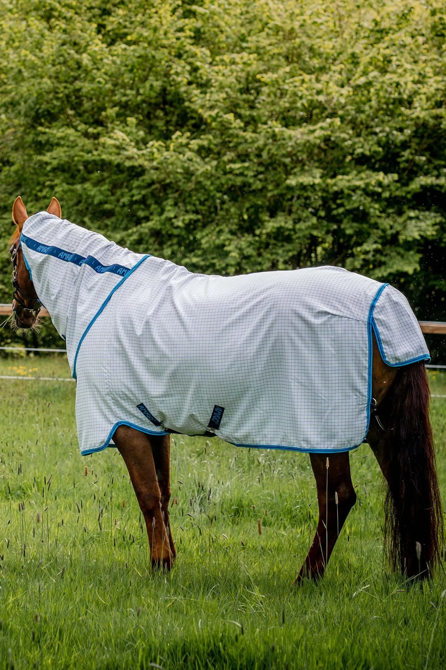 Amigo Fliegendecke Plus