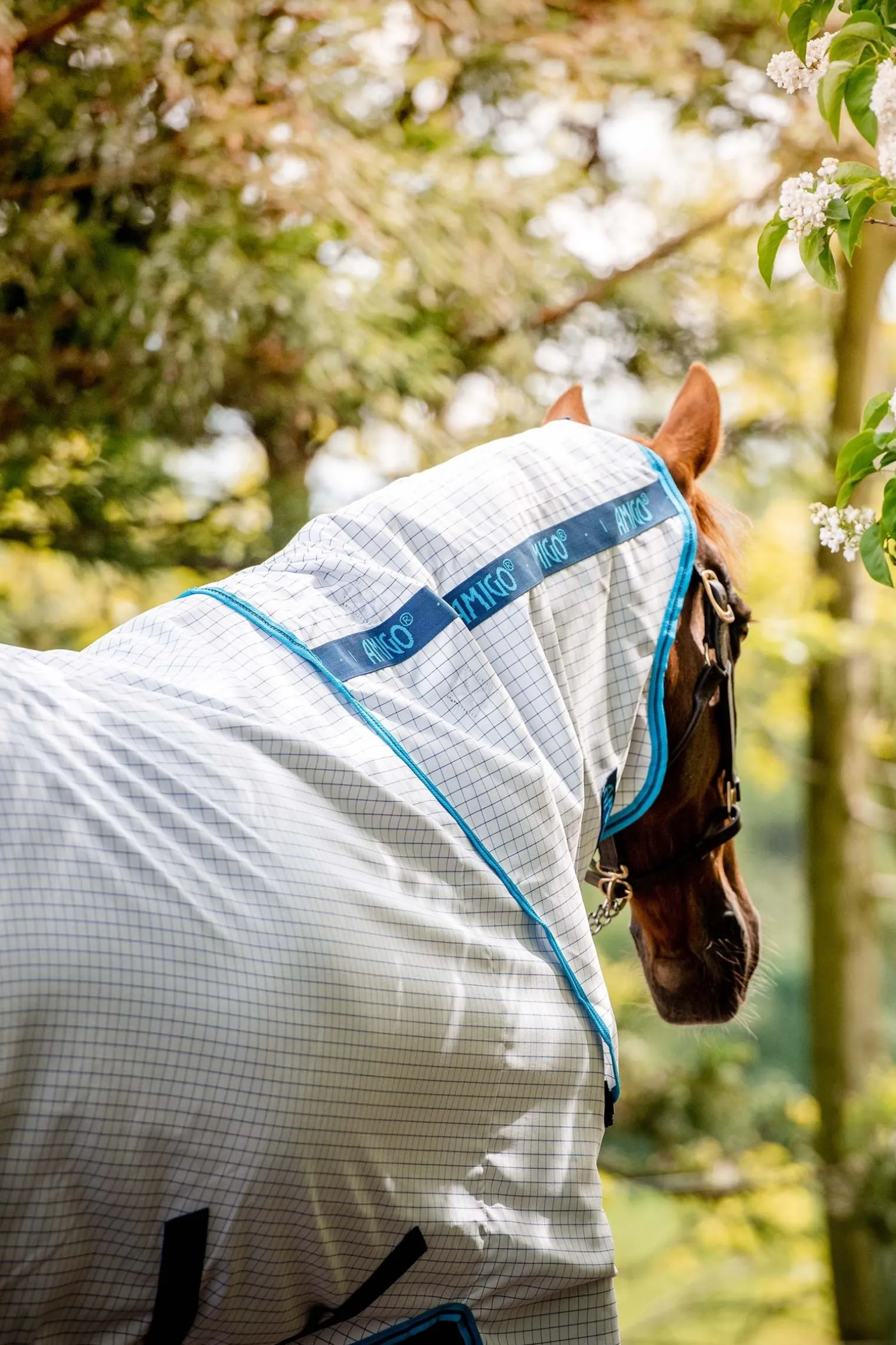 Amigo Fliegendecke Plus