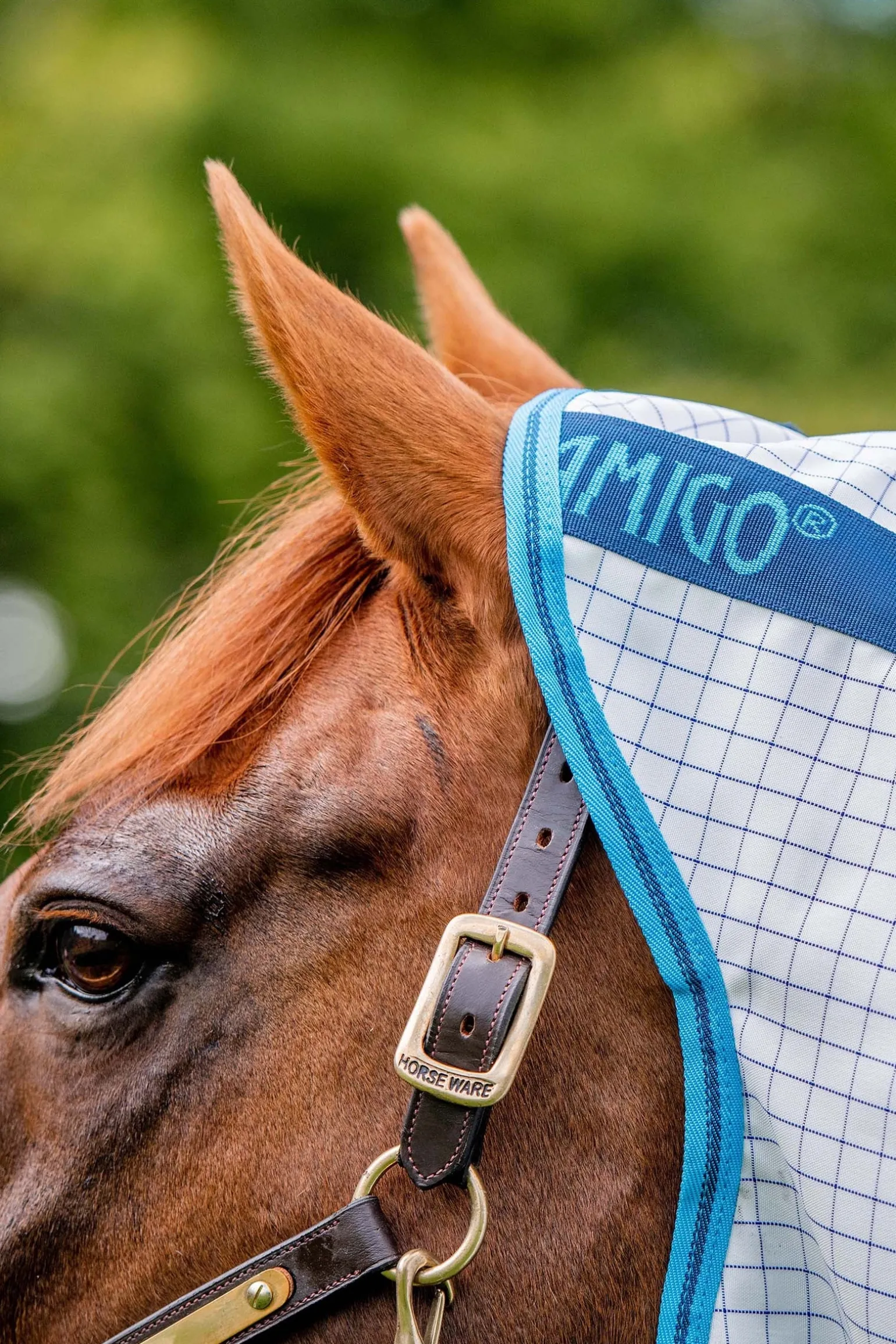 Amigo Fliegendecke Plus