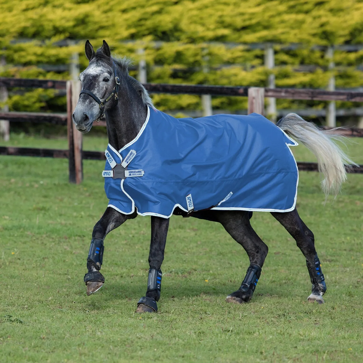 Amigo Hero 900 Disc Regendecke, 50g