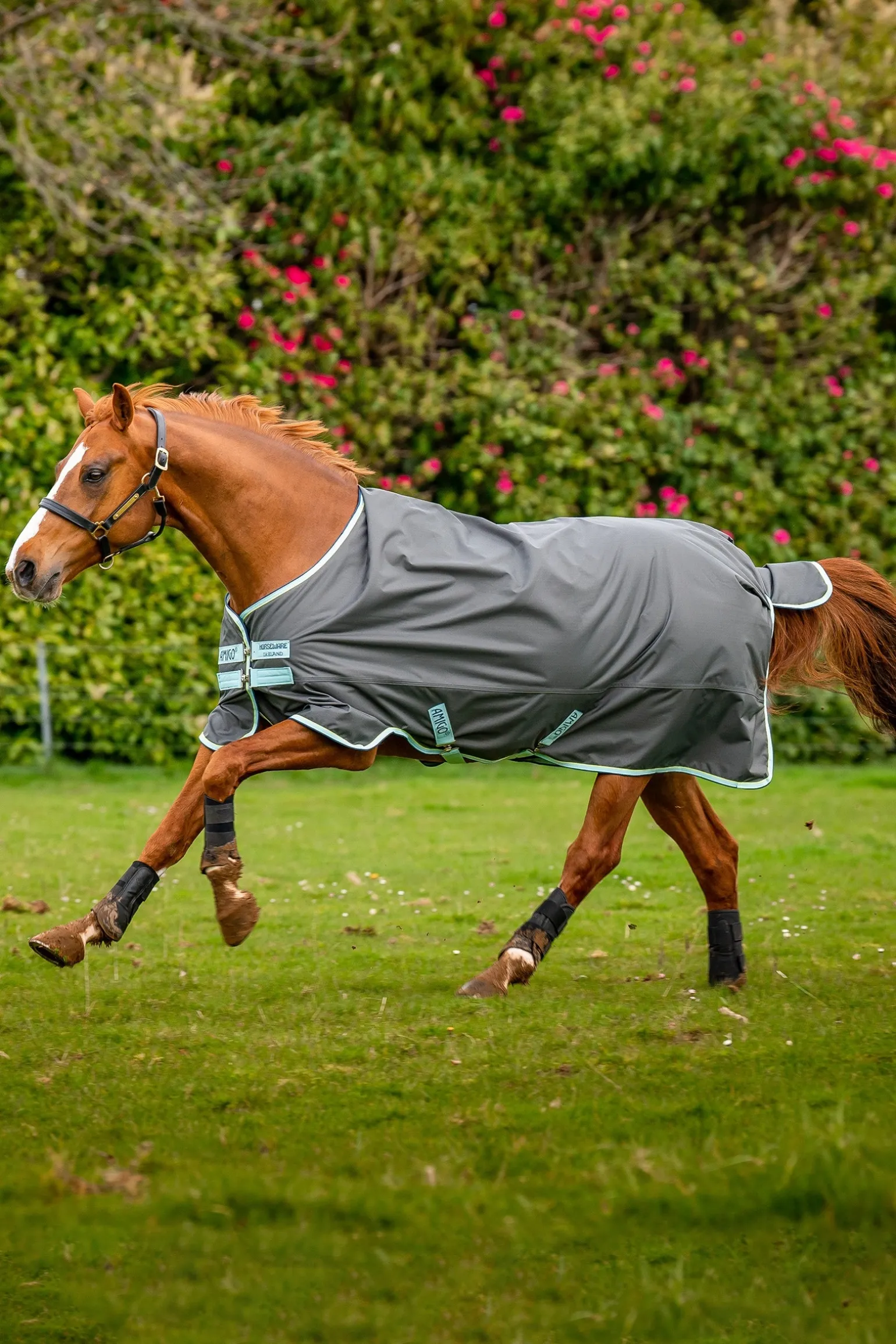 Amigo Hero Ripstop Weidedecke mit Fleecefutter, 50g