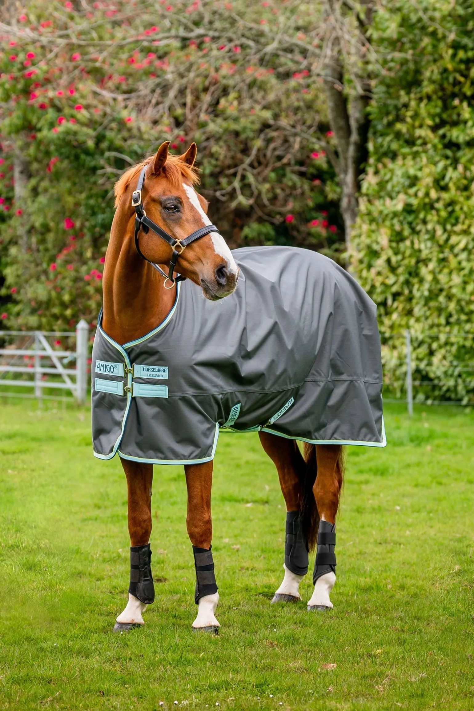 Amigo Hero Ripstop Weidedecke mit Fleecefutter, 50g