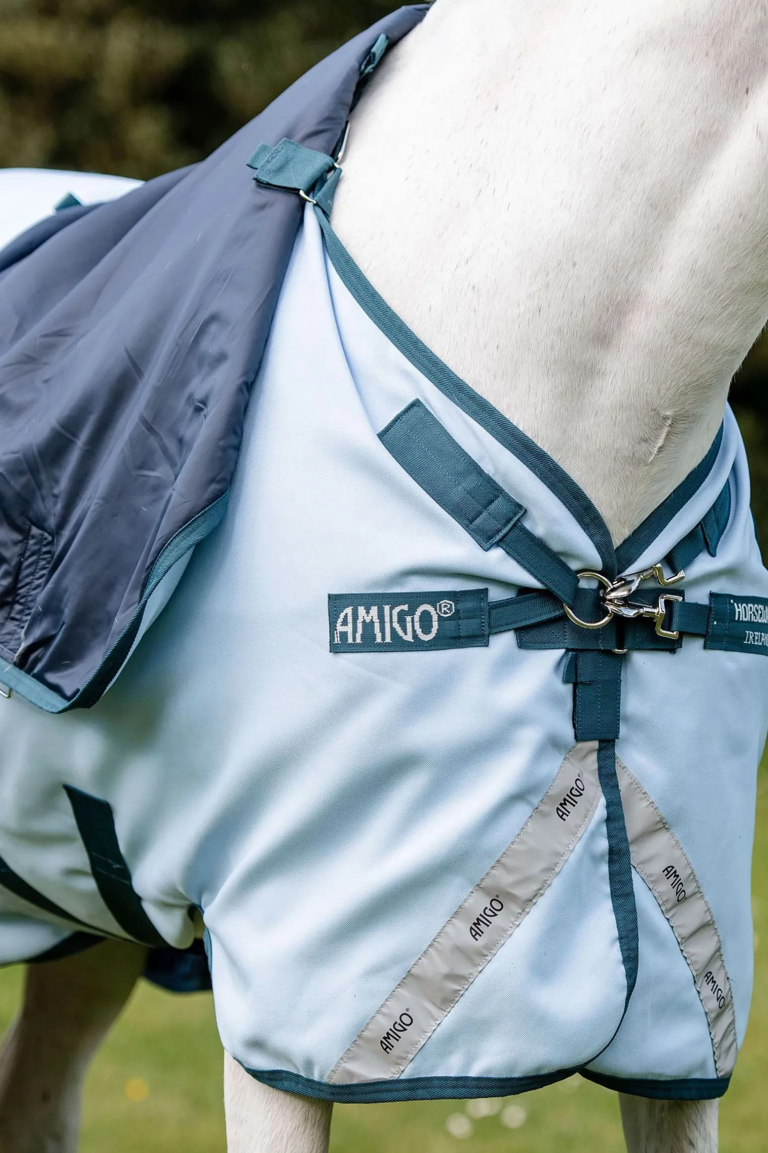 Amigo Plant Dye Weidedecke, 50g