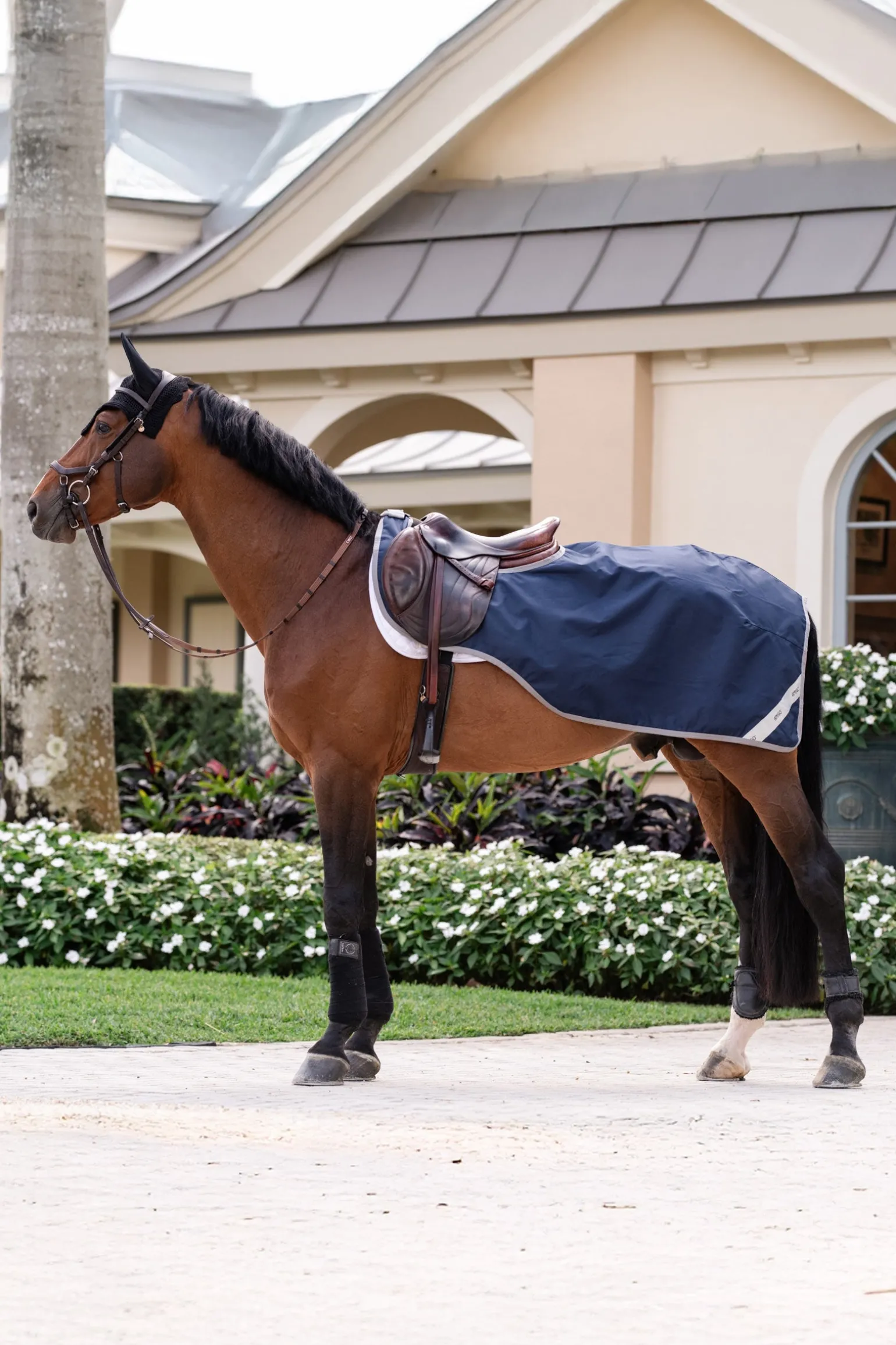 Amigo Ripstop Ausreitdecke