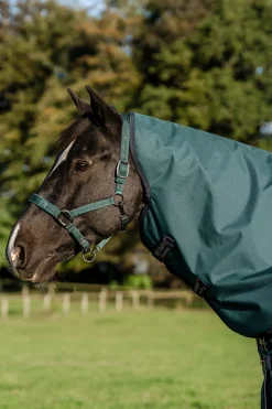 Amigo Ripstop 900D Plus Outdoordecke für Ponys, 50 g