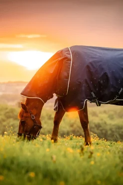 Amigo Ripstop 900D Plus Weidedecke mit abnehmbarem Halsteil, 0 g