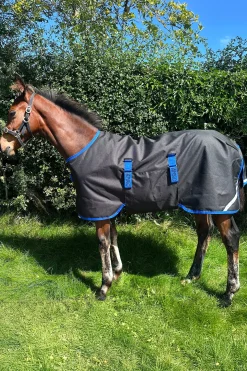 Amigo Ripstop 900D Weidedecke für Fohlen 50g