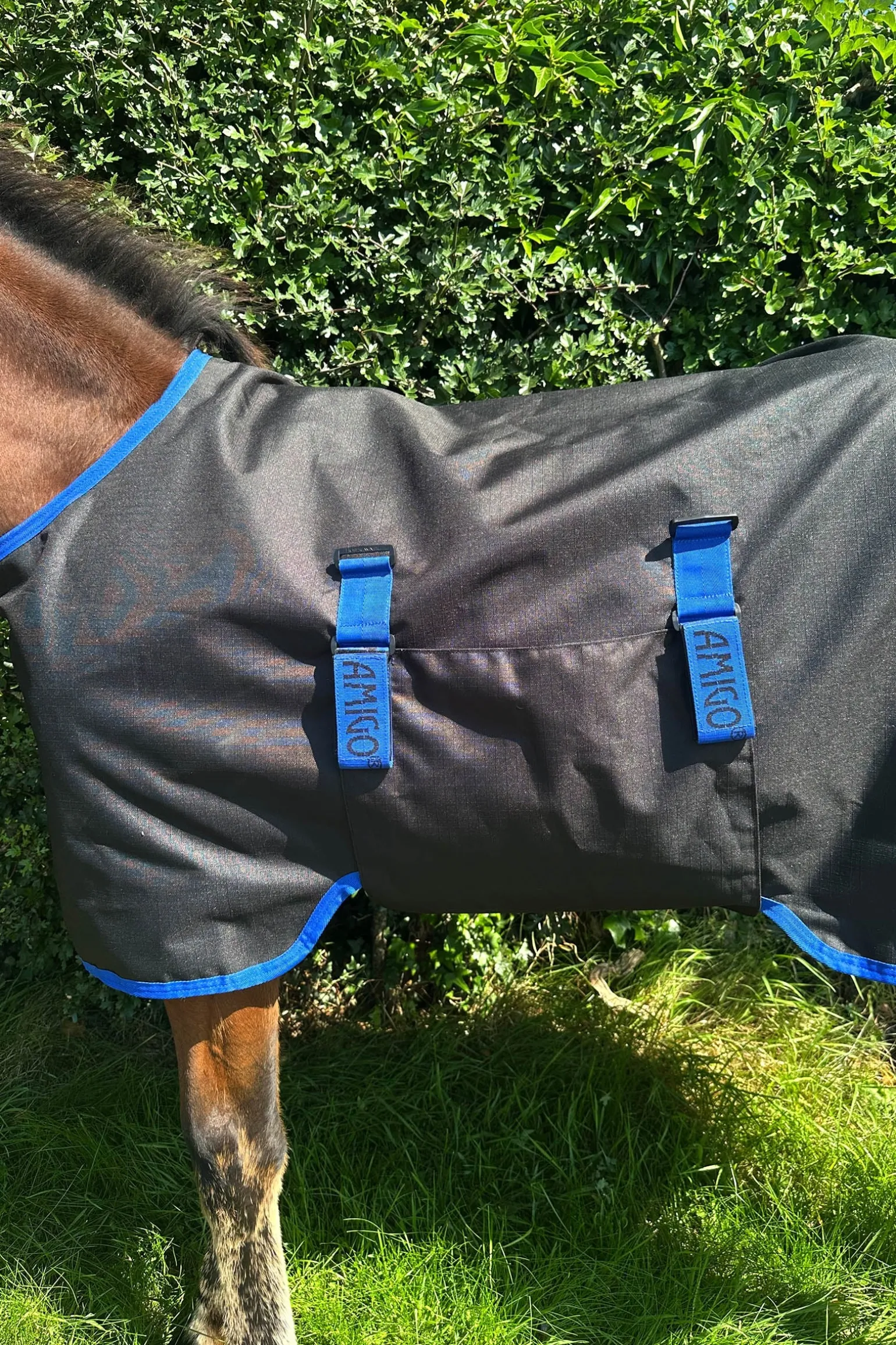 Amigo Ripstop 900D Weidedecke für Fohlen 50g