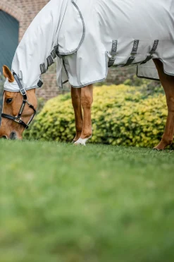 Amigo Ripstop Fliegendecke