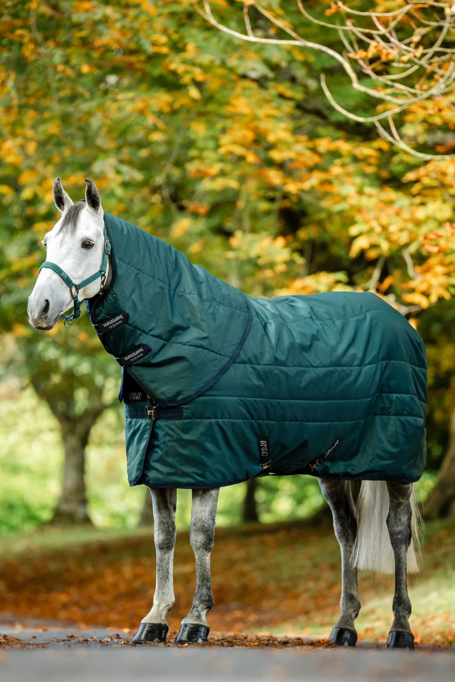 Amigo Ripstop Insulator Stalldecke 50g