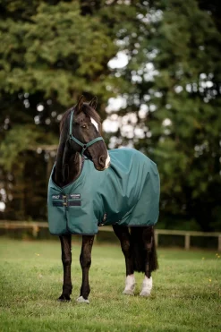 Amigo Ripstop Weidedecke 900D, 0g