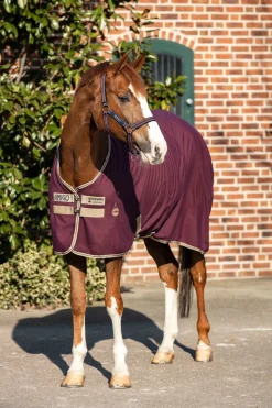 Amigo Stalldecke, 0g