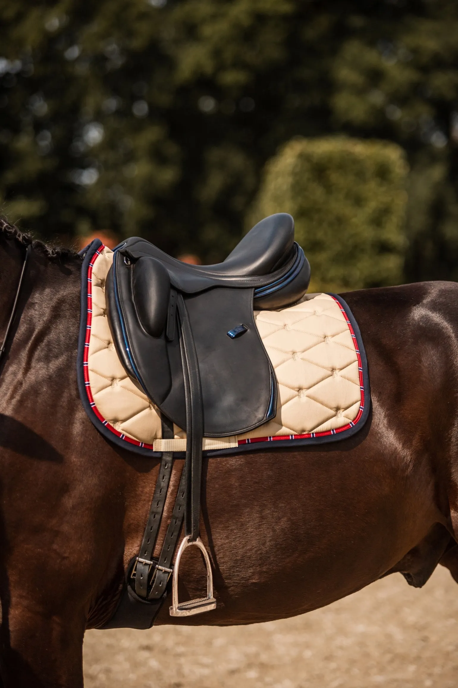 Amory Dressurschabracke mit Monogrammbestickung