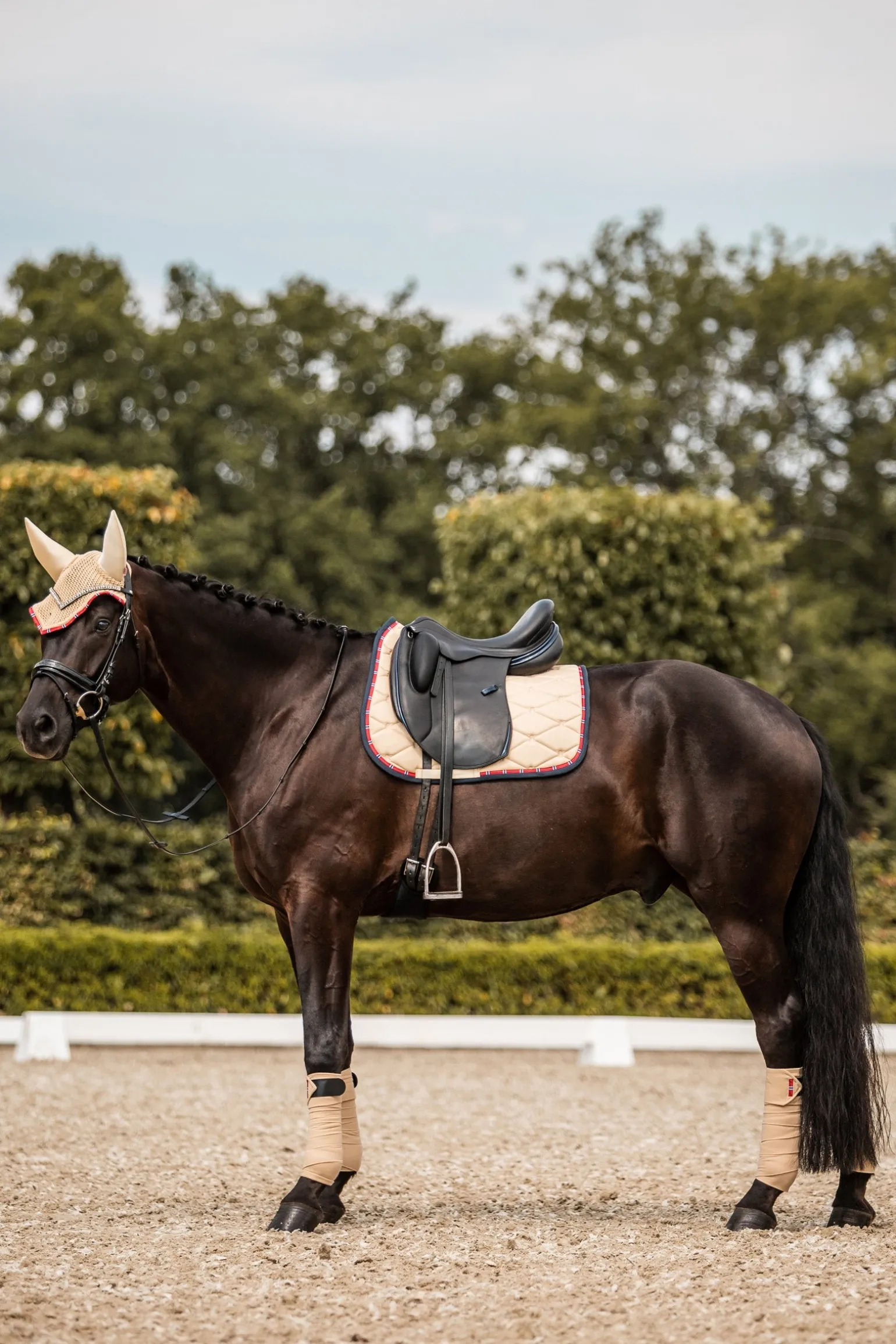 Amory Dressurschabracke mit Monogrammbestickung