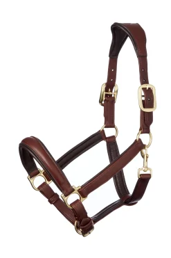 Anatomisches Lederhalfter