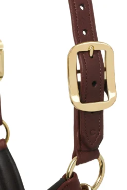 Anatomisches Lederhalfter