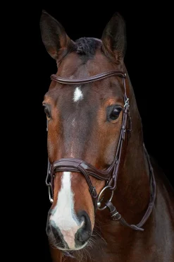 Ancona Select Trense