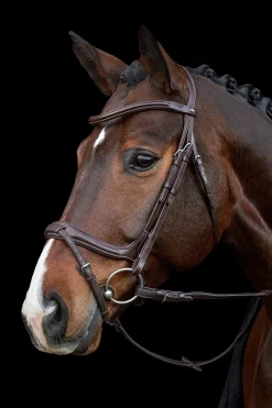 Ancona Select Trense