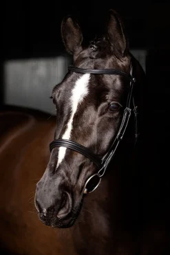 Arika Cavesson Trense