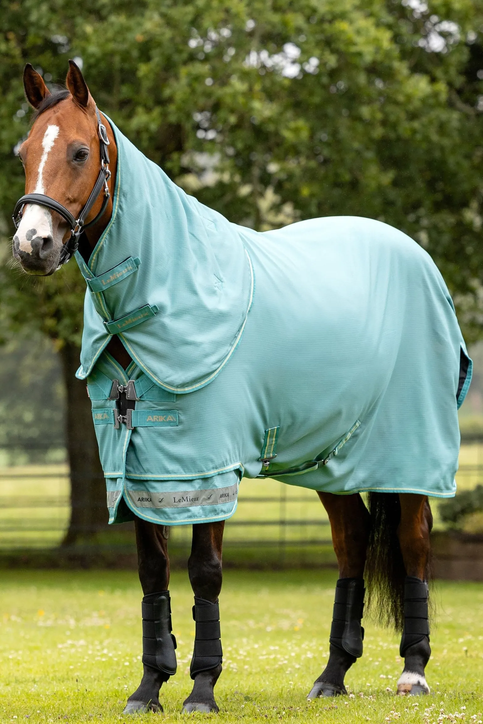 Arika 600D Weidedecke mit abnehmbarem Halsteil, 0g