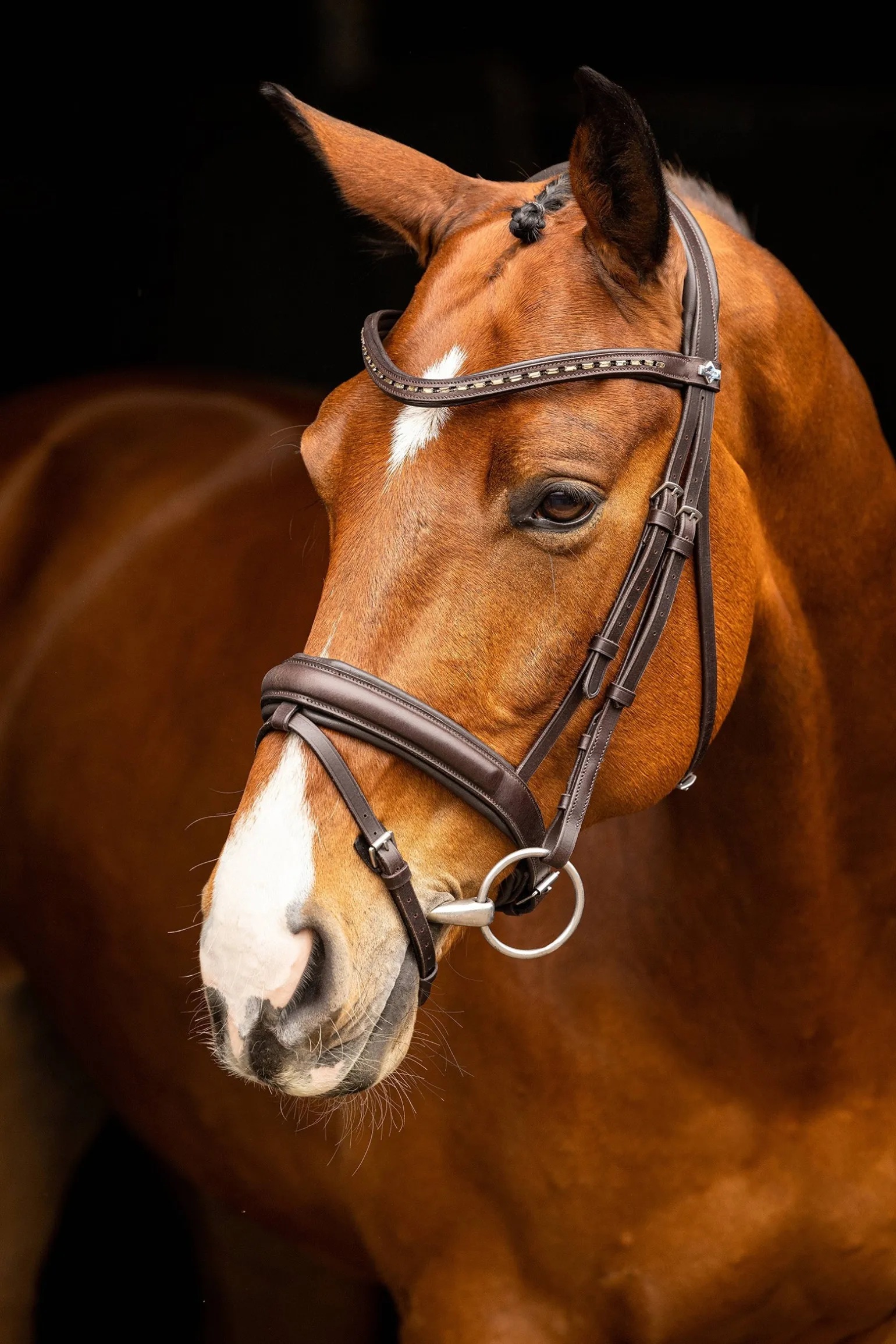 Arika Dresssur Trense