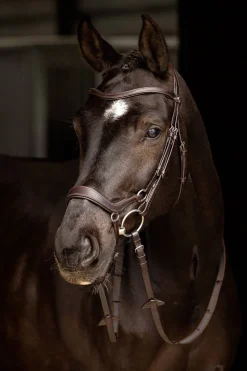 Arika Hannoveranische Trense