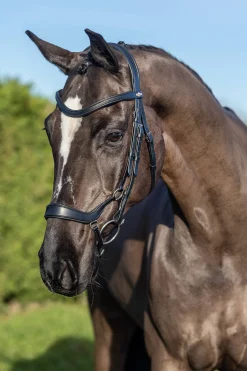 Arika Hannoveranische Trense