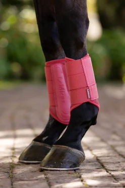 Arika Mesh Dressurgamaschen