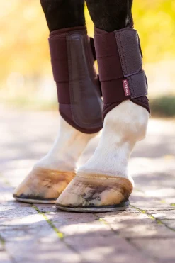 Arika Mesh Dressurgamaschen