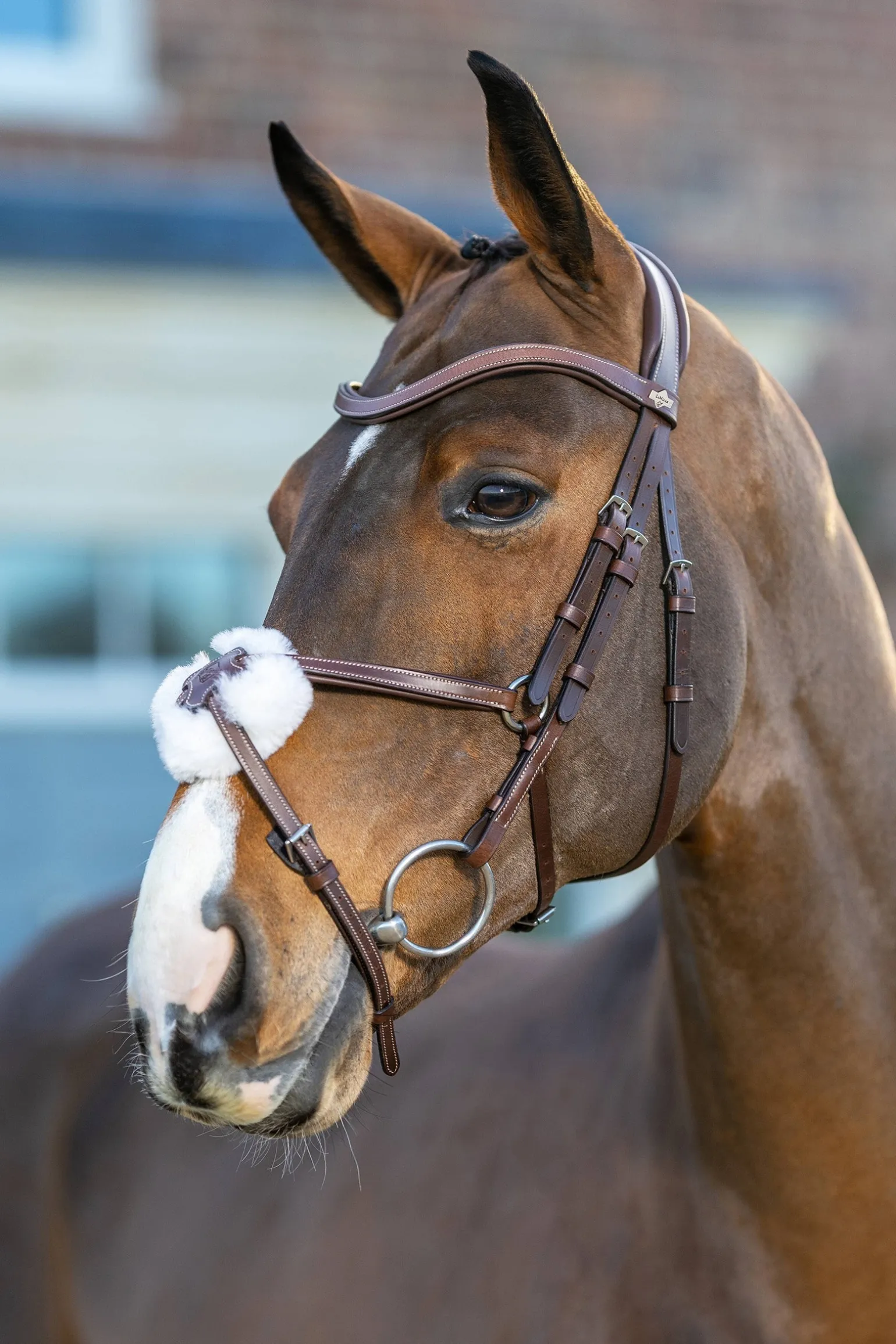 Arika mexikanische Trense