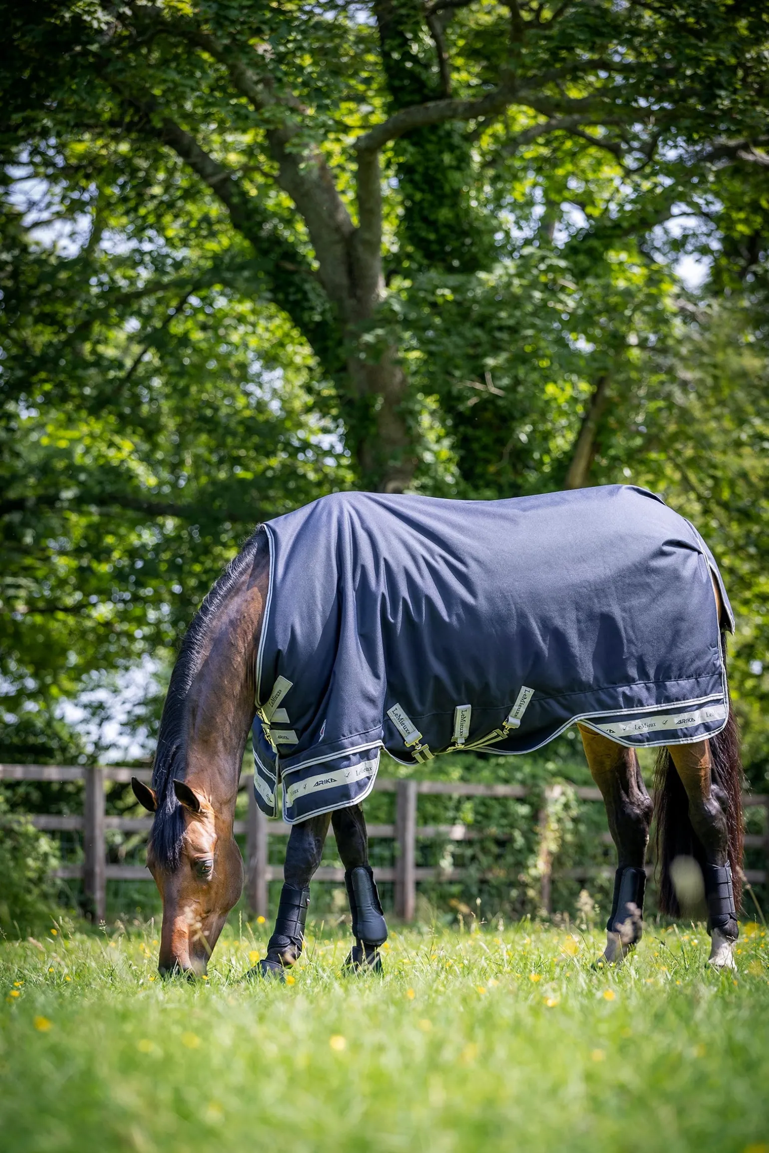 Arika Storm-Tek 200g