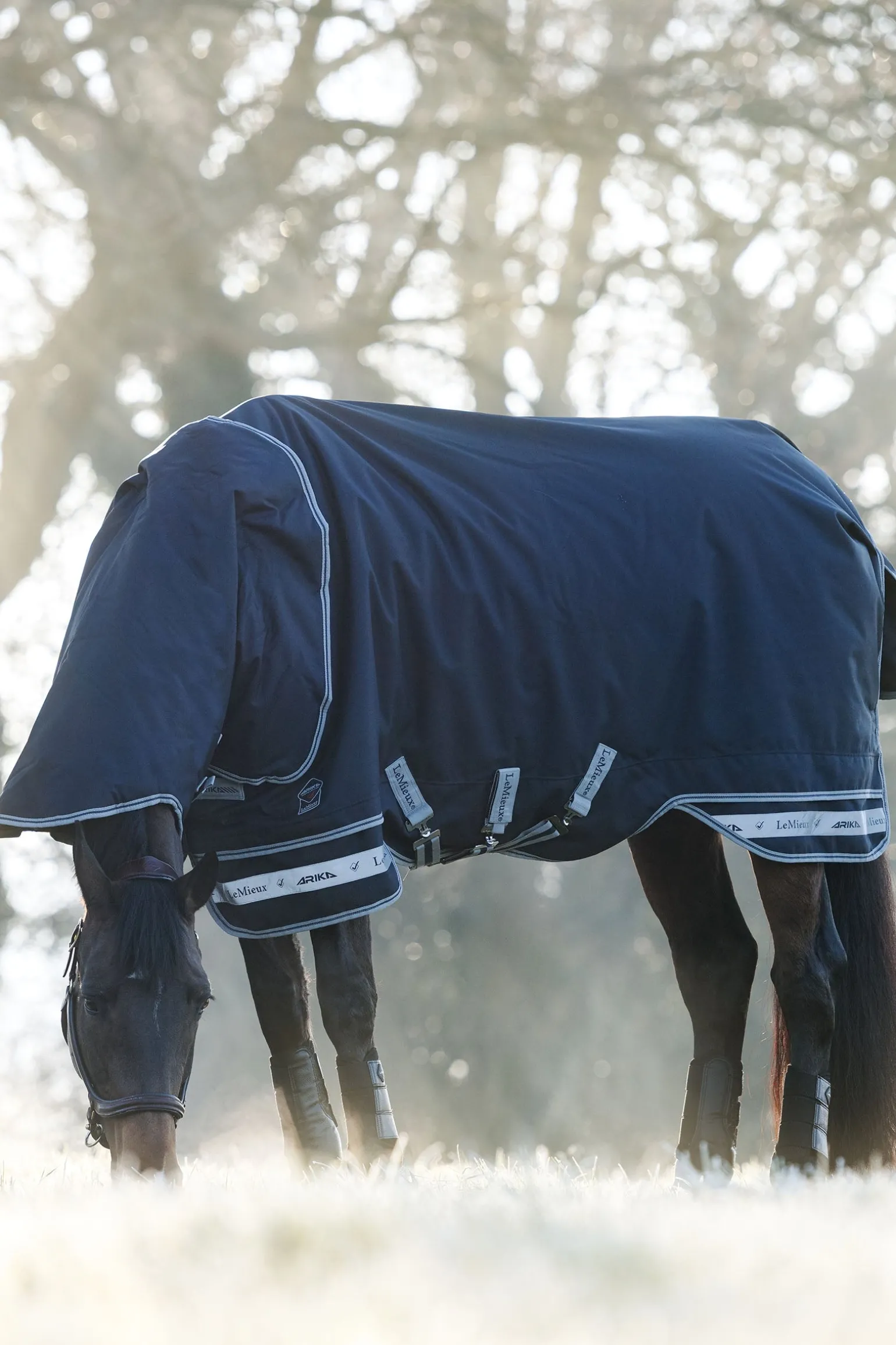 Arika Storm-Tek 200g